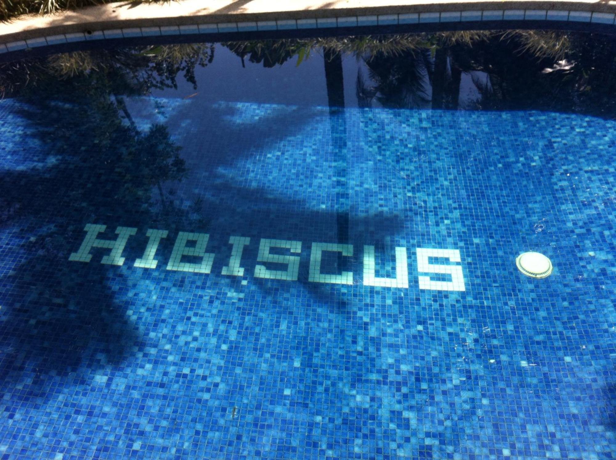 Chalet Y Cabinas Hibiscus Кахуита Екстериор снимка